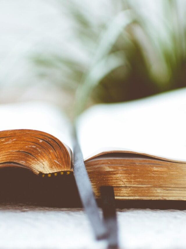 뉴스파이크 – 인권중심언론