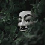 selective focus short of Guy Fawkes mask hiding behind plants